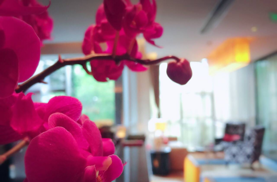 南宫NG28娱乐(中国集团)官方网站