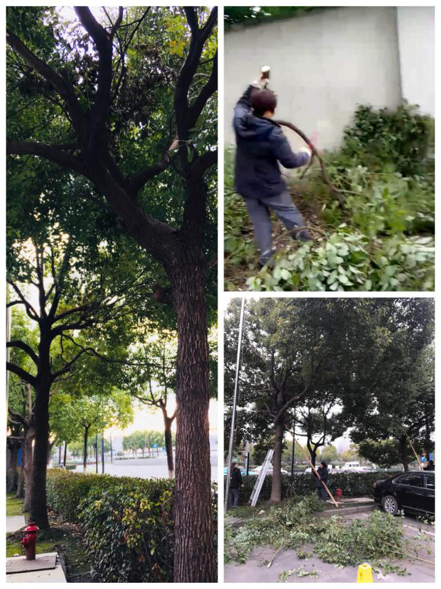 南宫NG28娱乐(中国集团)官方网站