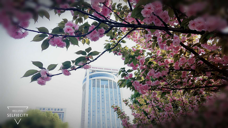 南宫NG28娱乐(中国集团)官方网站