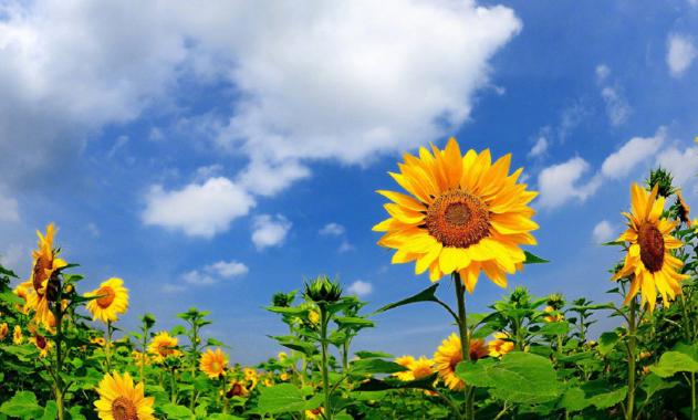 南宫NG28娱乐(中国集团)官方网站