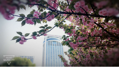 南宫NG28娱乐(中国集团)官方网站