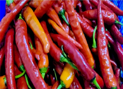 南宫NG28娱乐(中国集团)官方网站